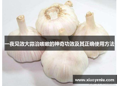 一夜见效大蒜治咳嗽的神奇功效及其正确使用方法