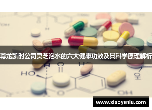 尊龙凯时公司灵芝泡水的六大健康功效及其科学原理解析