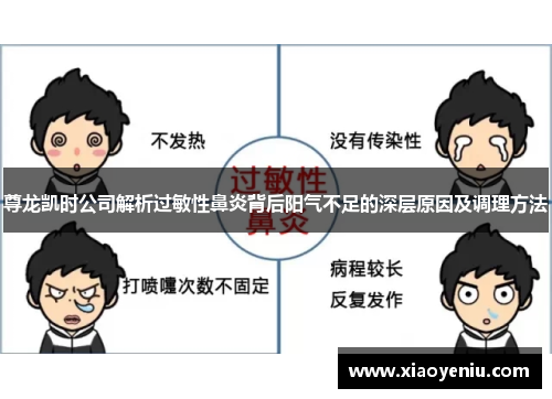 尊龙凯时公司解析过敏性鼻炎背后阳气不足的深层原因及调理方法
