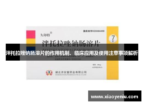 泮托拉唑钠肠溶片的作用机制、临床应用及使用注意事项解析