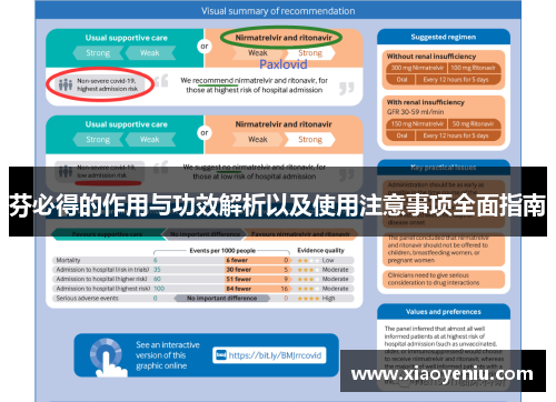 芬必得的作用与功效解析以及使用注意事项全面指南