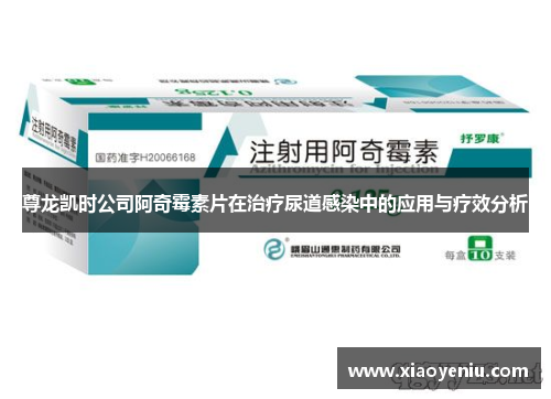 尊龙凯时公司阿奇霉素片在治疗尿道感染中的应用与疗效分析