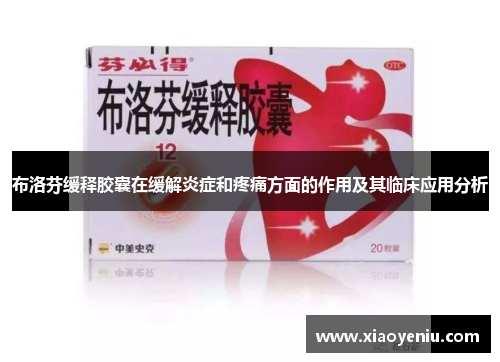 布洛芬缓释胶囊在缓解炎症和疼痛方面的作用及其临床应用分析