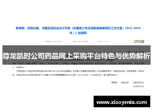 尊龙凯时公司药品网上采购平台特色与优势解析