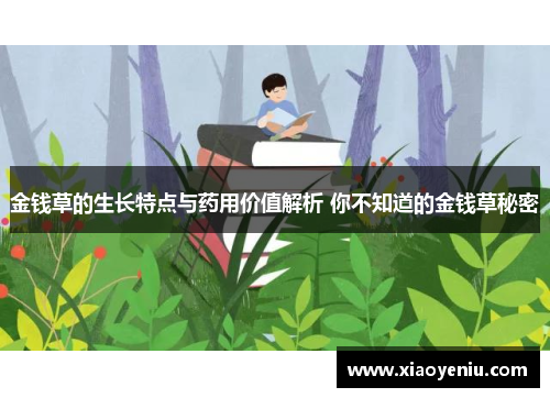 金钱草的生长特点与药用价值解析 你不知道的金钱草秘密