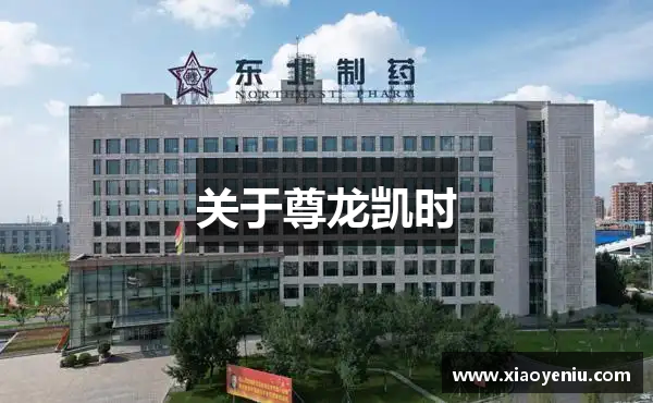 关于尊龙凯时